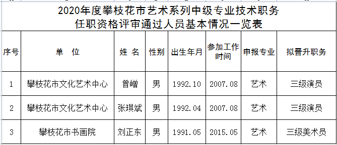 攀枝花市2020年度图书资料文物博物艺术群众文化系列中级专业技术职务