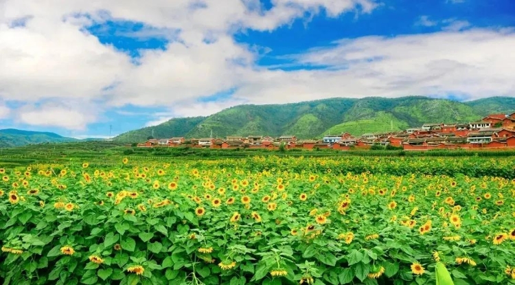 迤沙拉村被拟命名为首批"天府旅游名村"